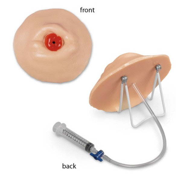 Retracted Ostomy Care Training Model