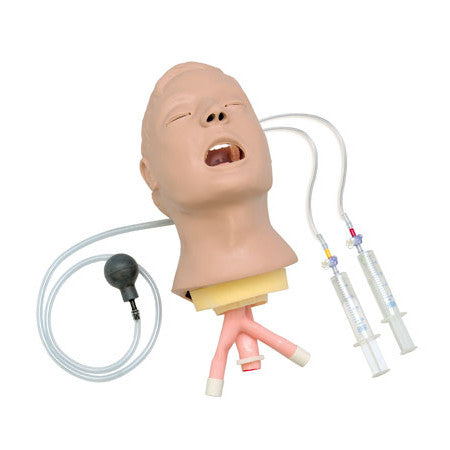 Advanced Airway Larry Training Head