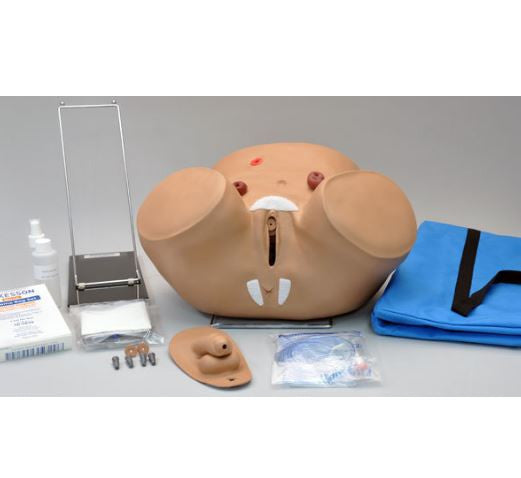 Advanced Patient Care Male and Female Catheterisation Simulator