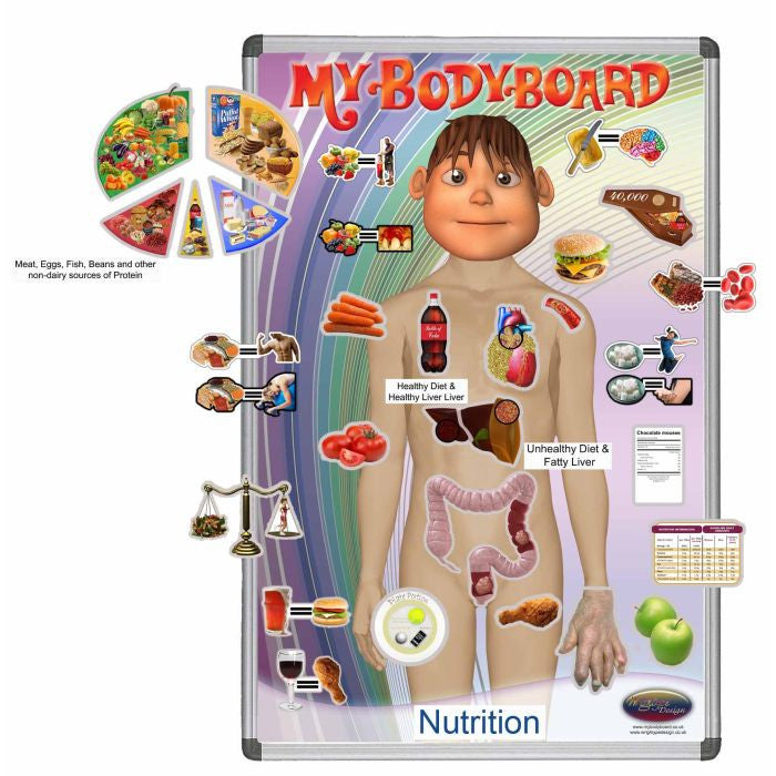 MyBodyBoard Nutrition (for Professionals)