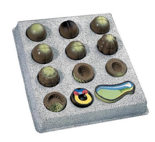 Frog Embryo Development Model (12 Stages)