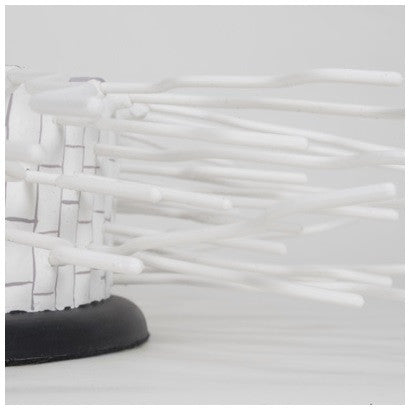 Absorption Zone of the Root Model