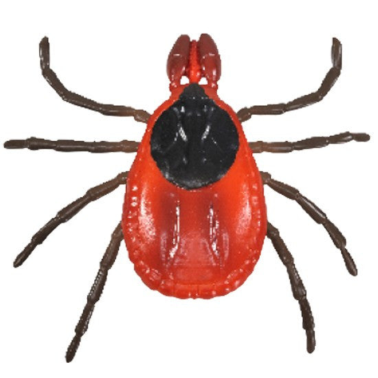 Canine Skin Parasites Model