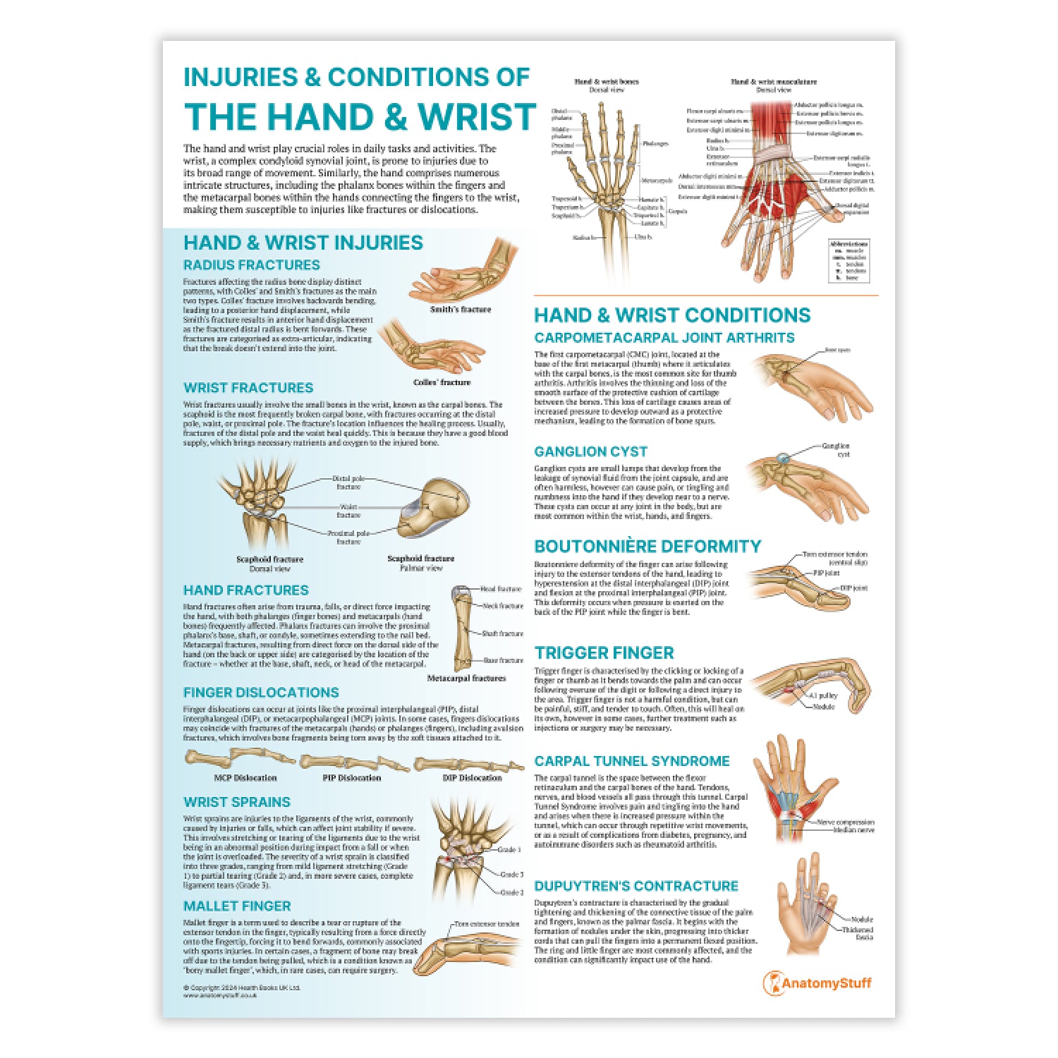 Peripheral Joint 6 Chart Collection