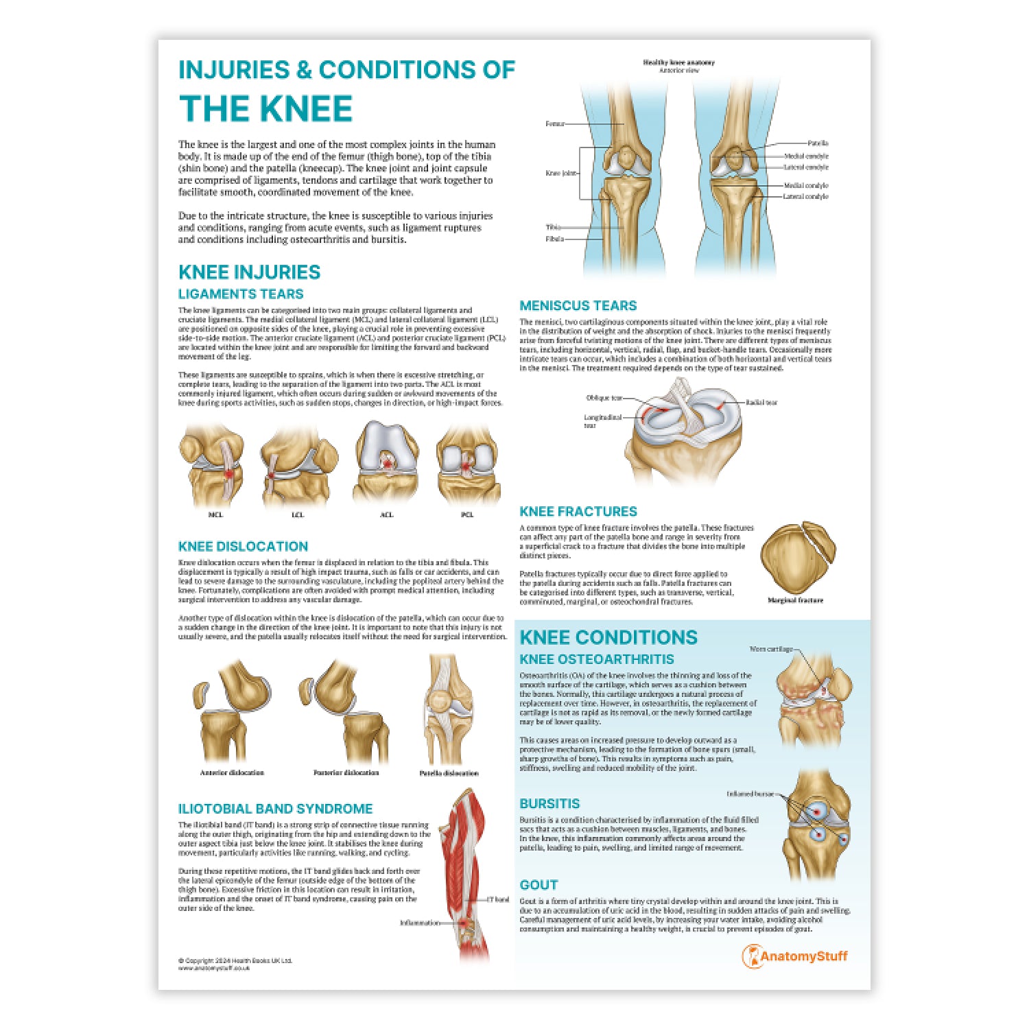Peripheral Joint 6 Chart Collection
