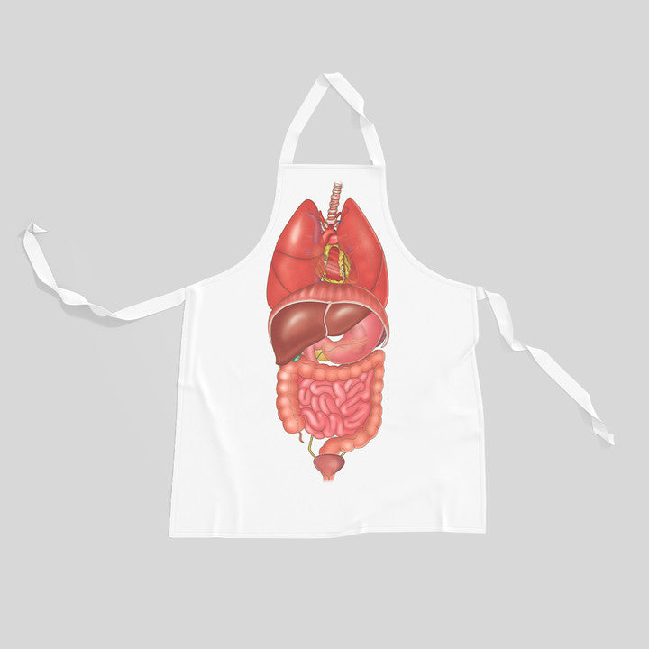 Internal Organs Anatomy Apron