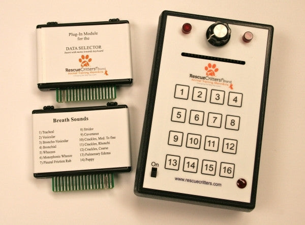 K-9 Canine Breath Sound and Heart Sound Simulator