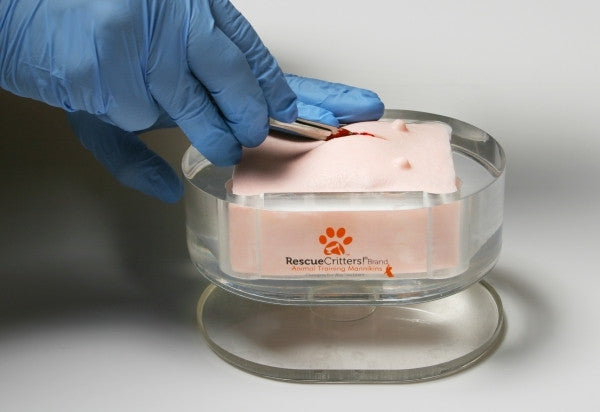 Replacements (10 units) for K-9 Canine Ovariohysterectomy (Spay) Model