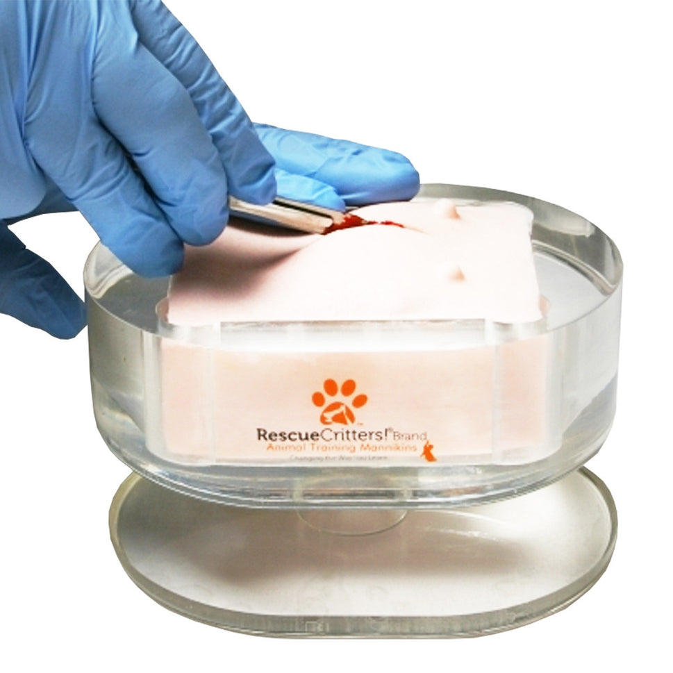 K-9 Canine Ovariohysterectomy (Spay) Model