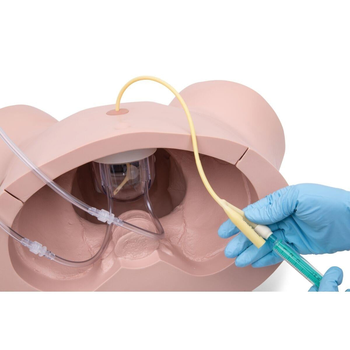 Catheterization Simulator PRO Set (Male and Female)