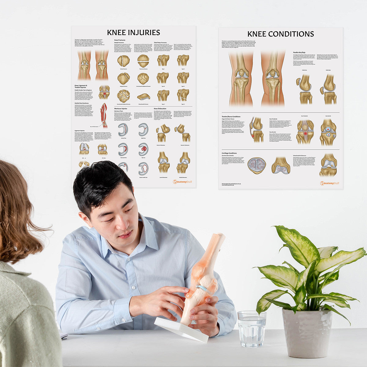 Budget Flexible Knee Model with Ligaments