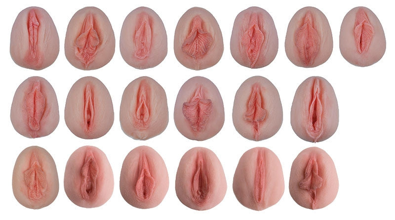 Vulva Casts