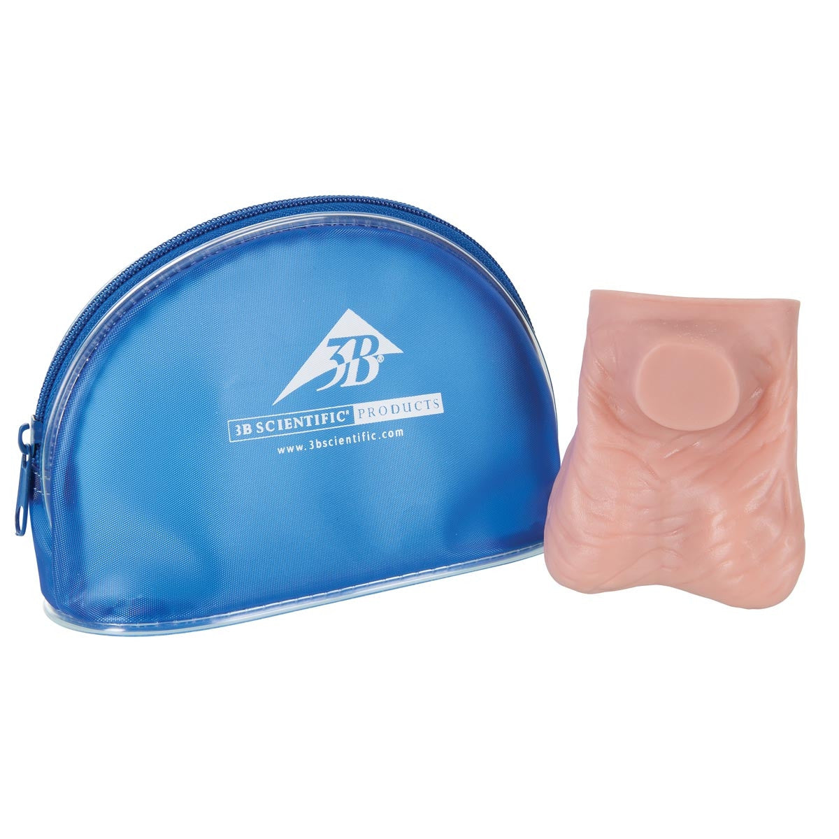 SKINlike Testicular Self Examination (TSE) Model