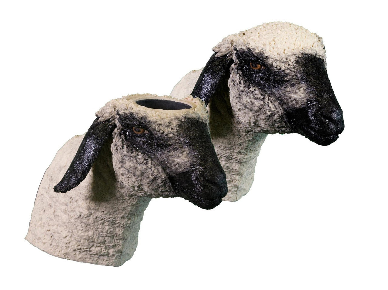 Bolt Gun Training Model - Lamb/Sheep