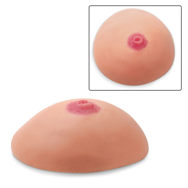 Inverted Nipple Breast Model