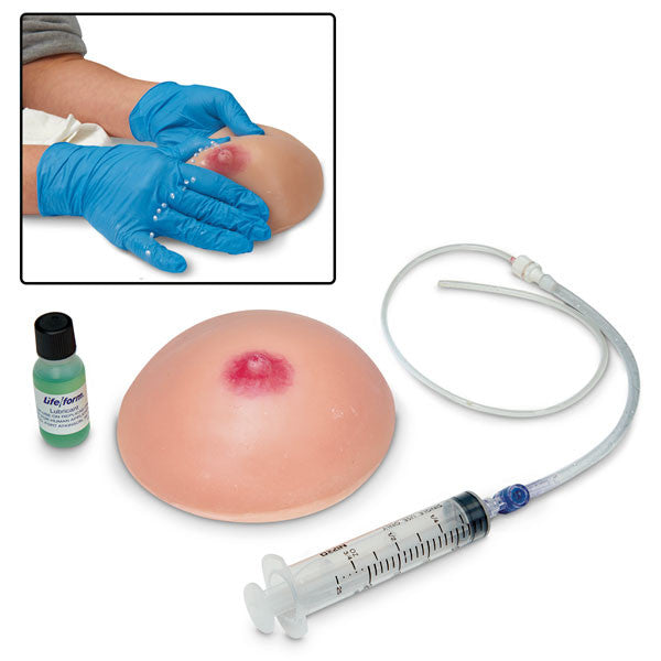 Lactating Breast Model
