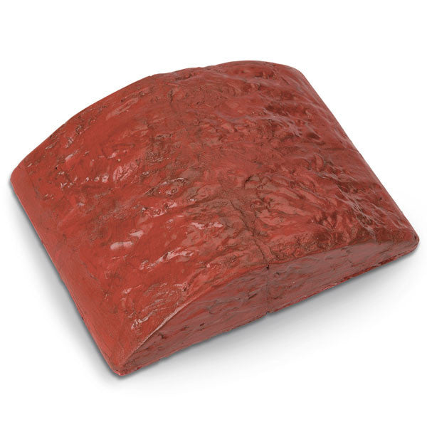 Replacement Muscle for Advanced Suture Kit