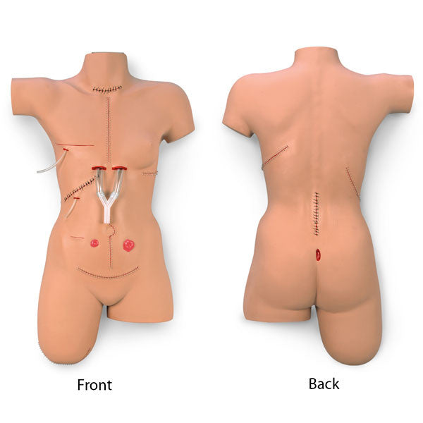 Surgical Sally Bandaging Training Model