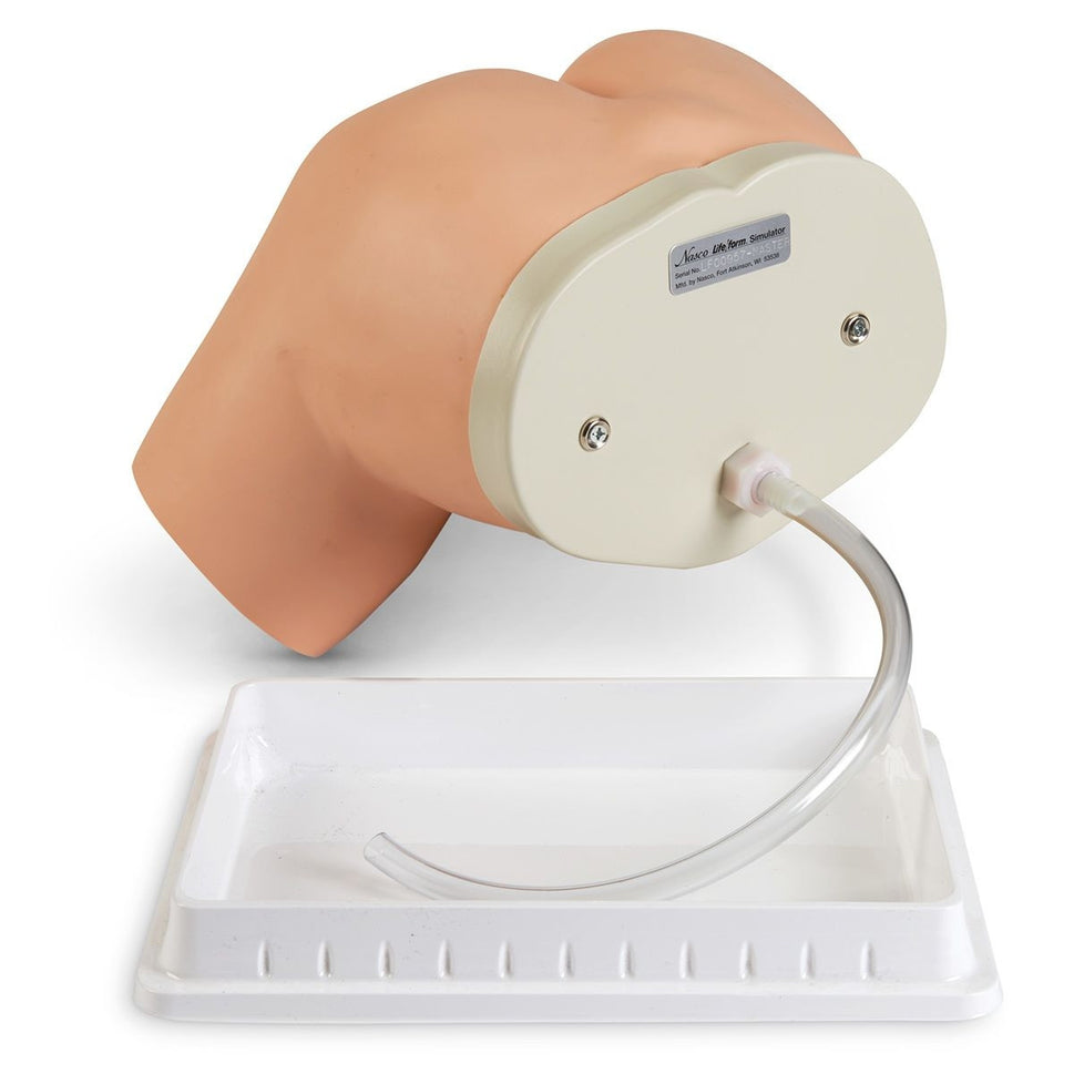 Enema Administration Training Model