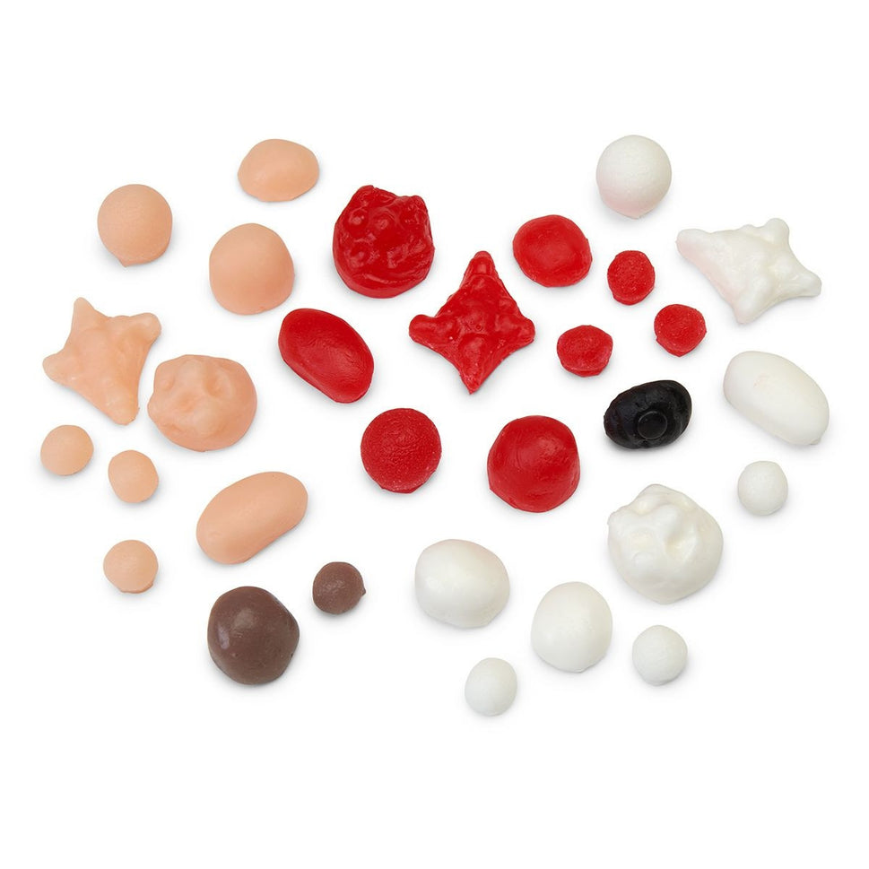 Advanced Breast Examination Simulator