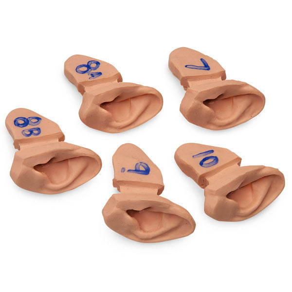 Ear Examination Supplementary Set for Advanced Training