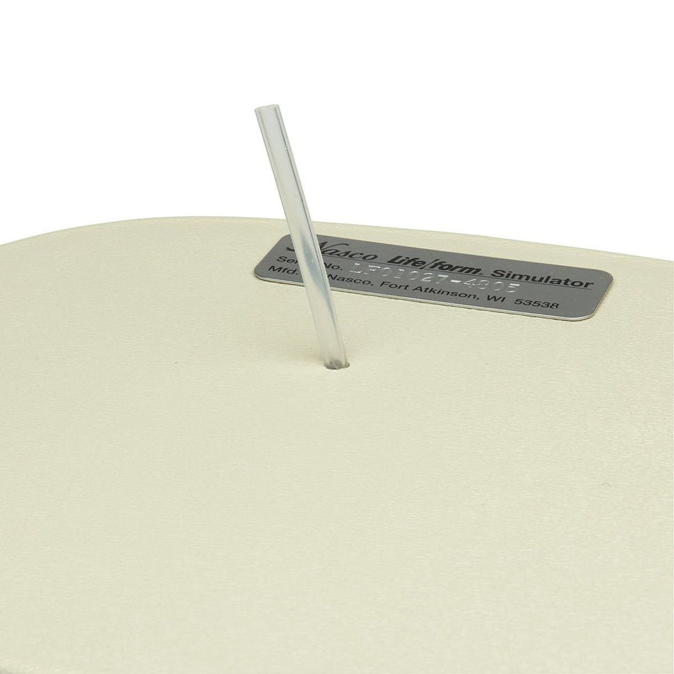 Peritoneal Dialysis Simulator (CAPD) Simulator