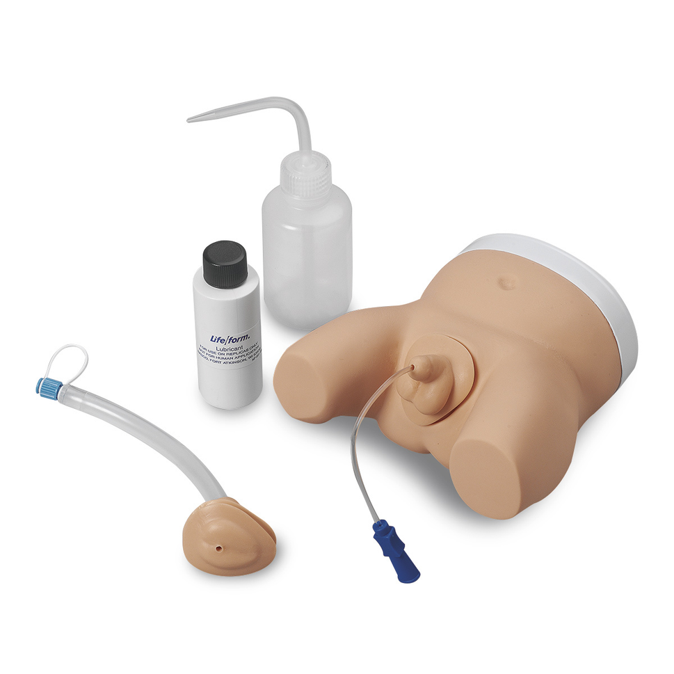 Infant Male and Female Catheterisation Trainer