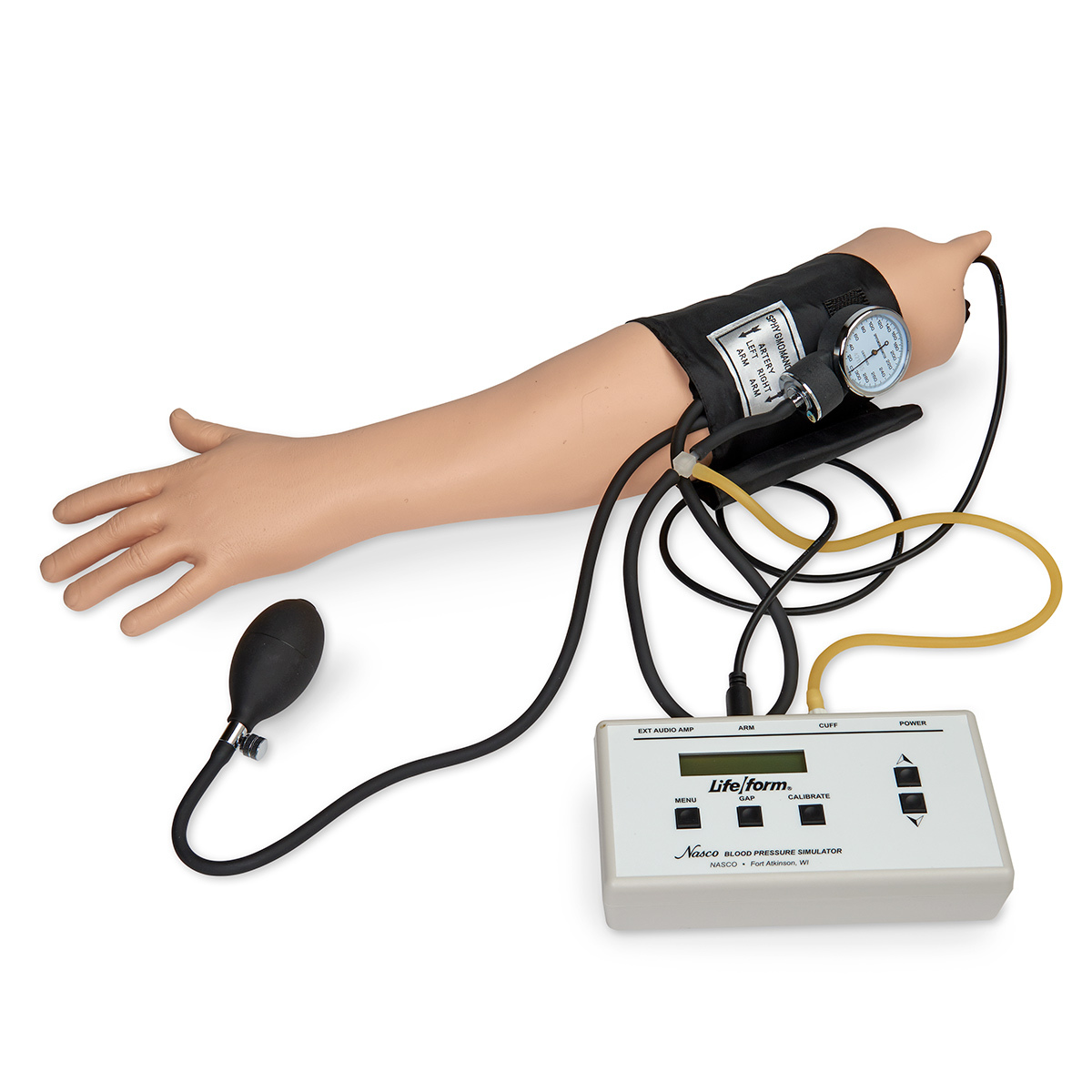 Blood Pressure Simulator