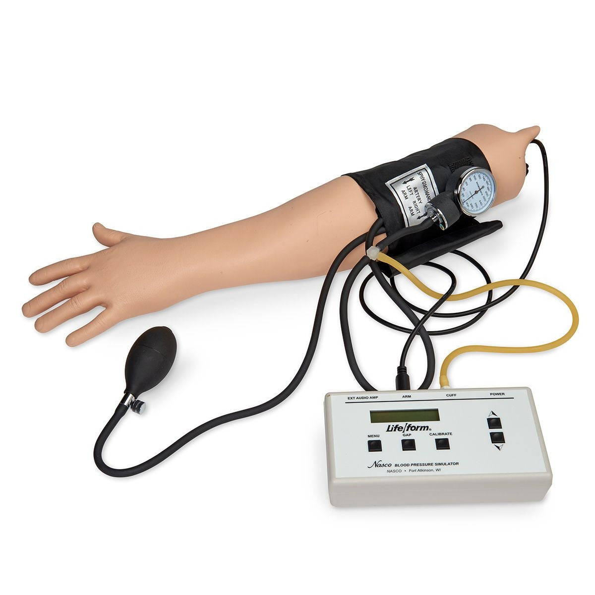 Deluxe Blood Pressure Simulator with Speaker System