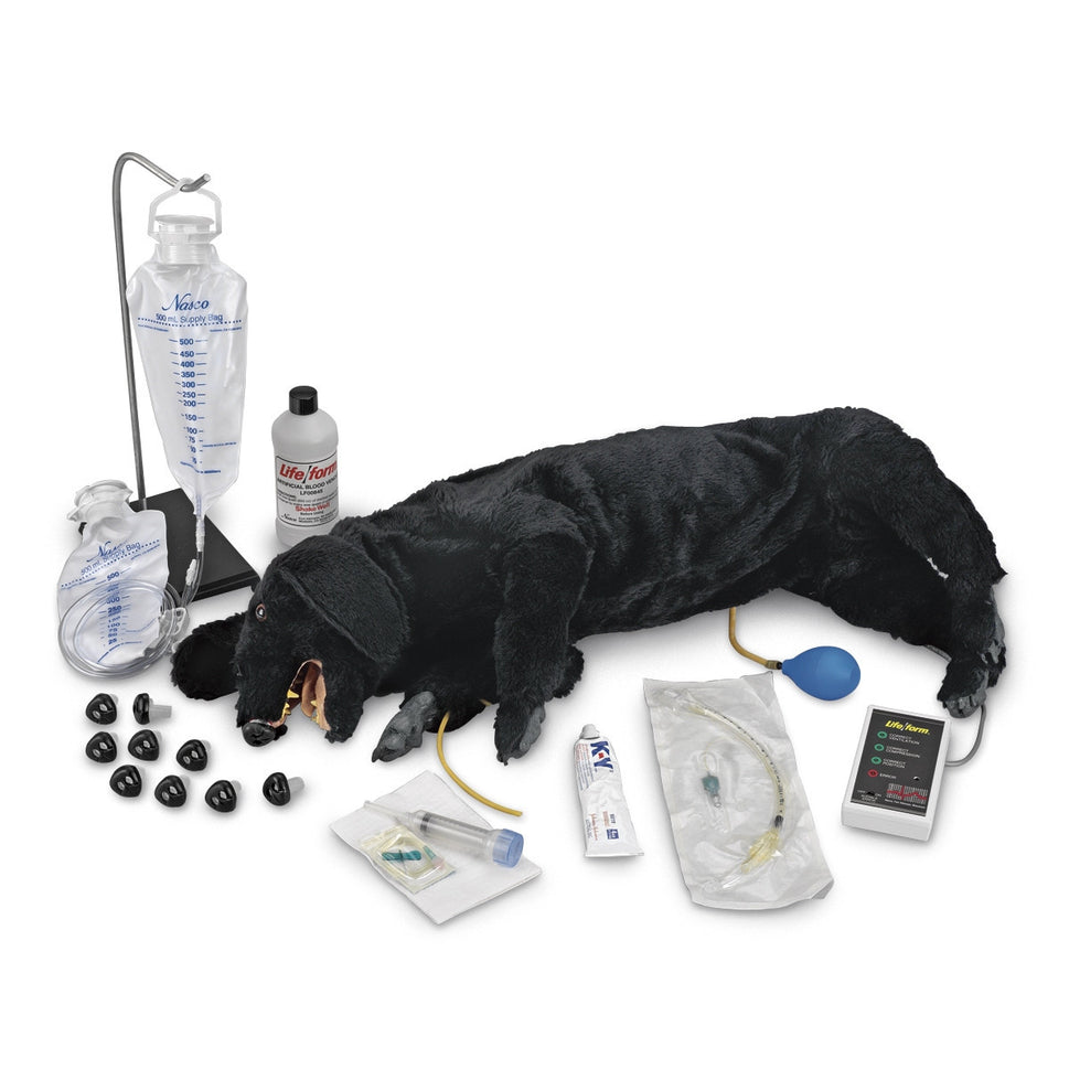Advanced Sanitary CPR Dog Manikin