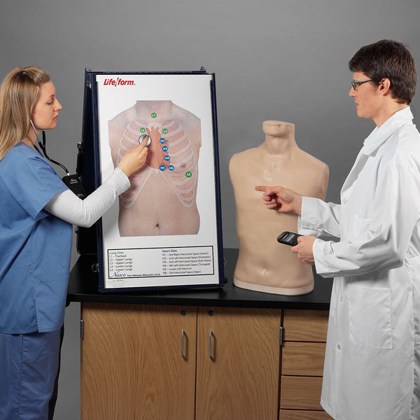 Complete Auscultation Training Station