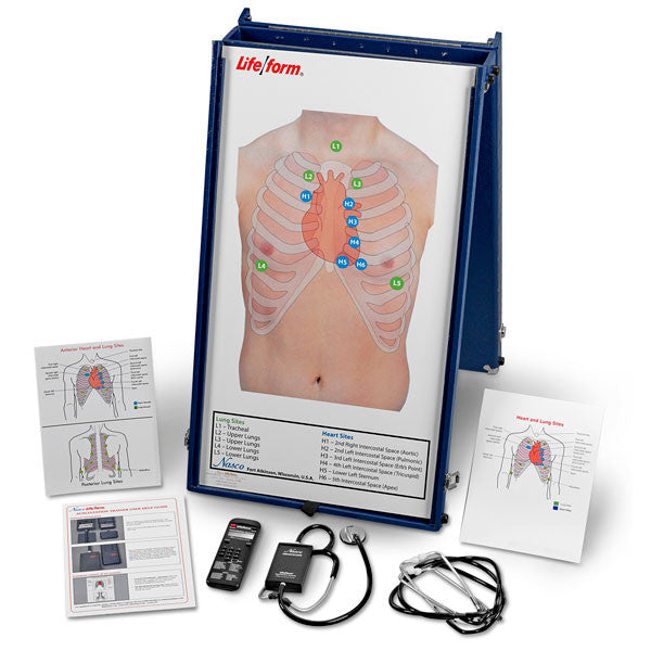Anterior Auscultation Practice Board with Case