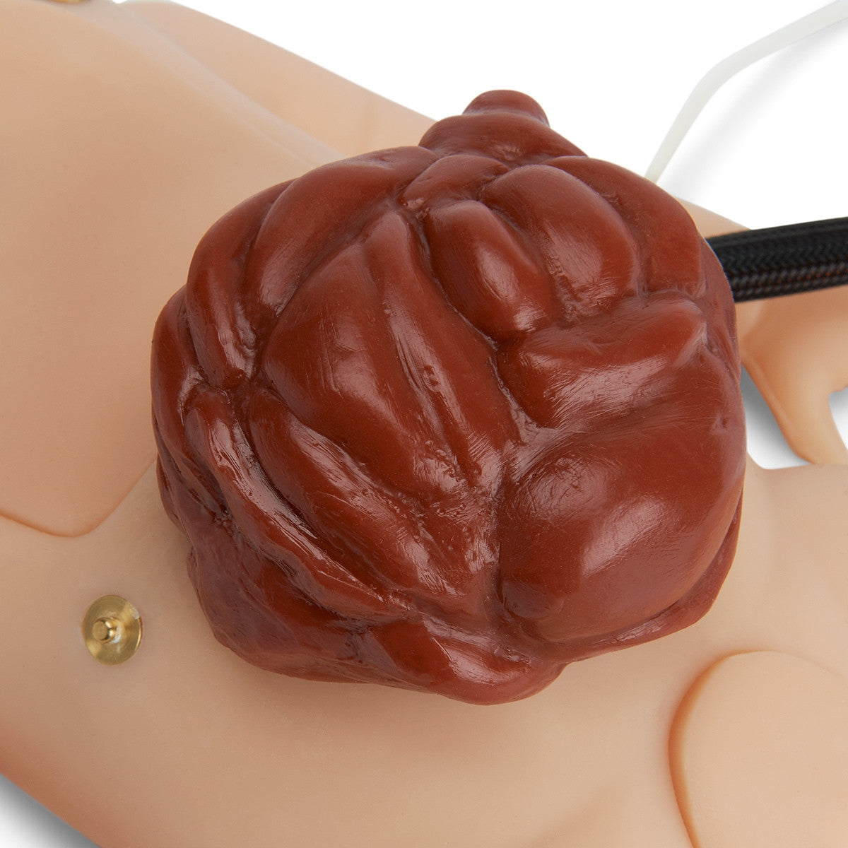 C.H.A.R.L.I.E. Neonatal Resuscitation Simulator