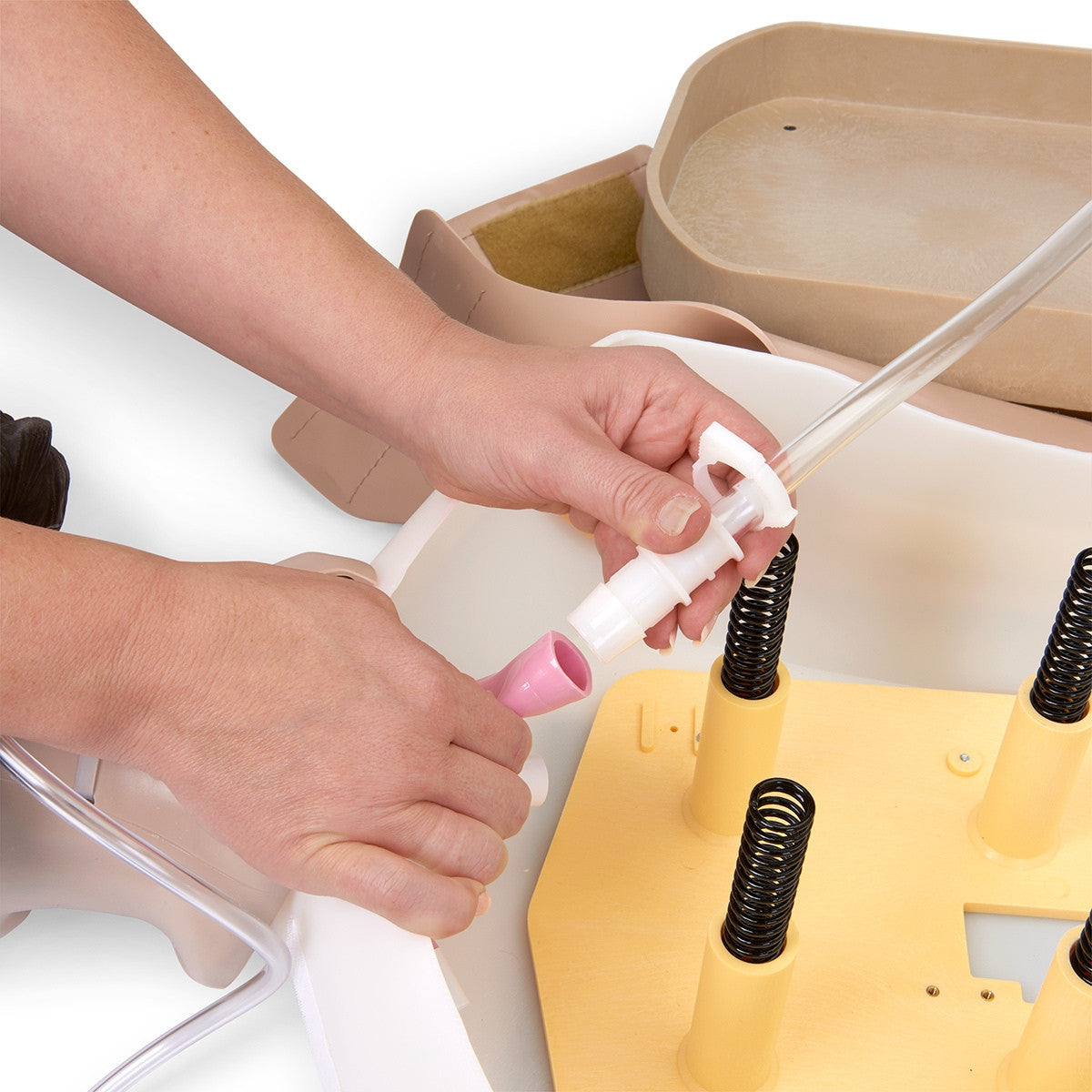 Adult Airway Management Training Torso