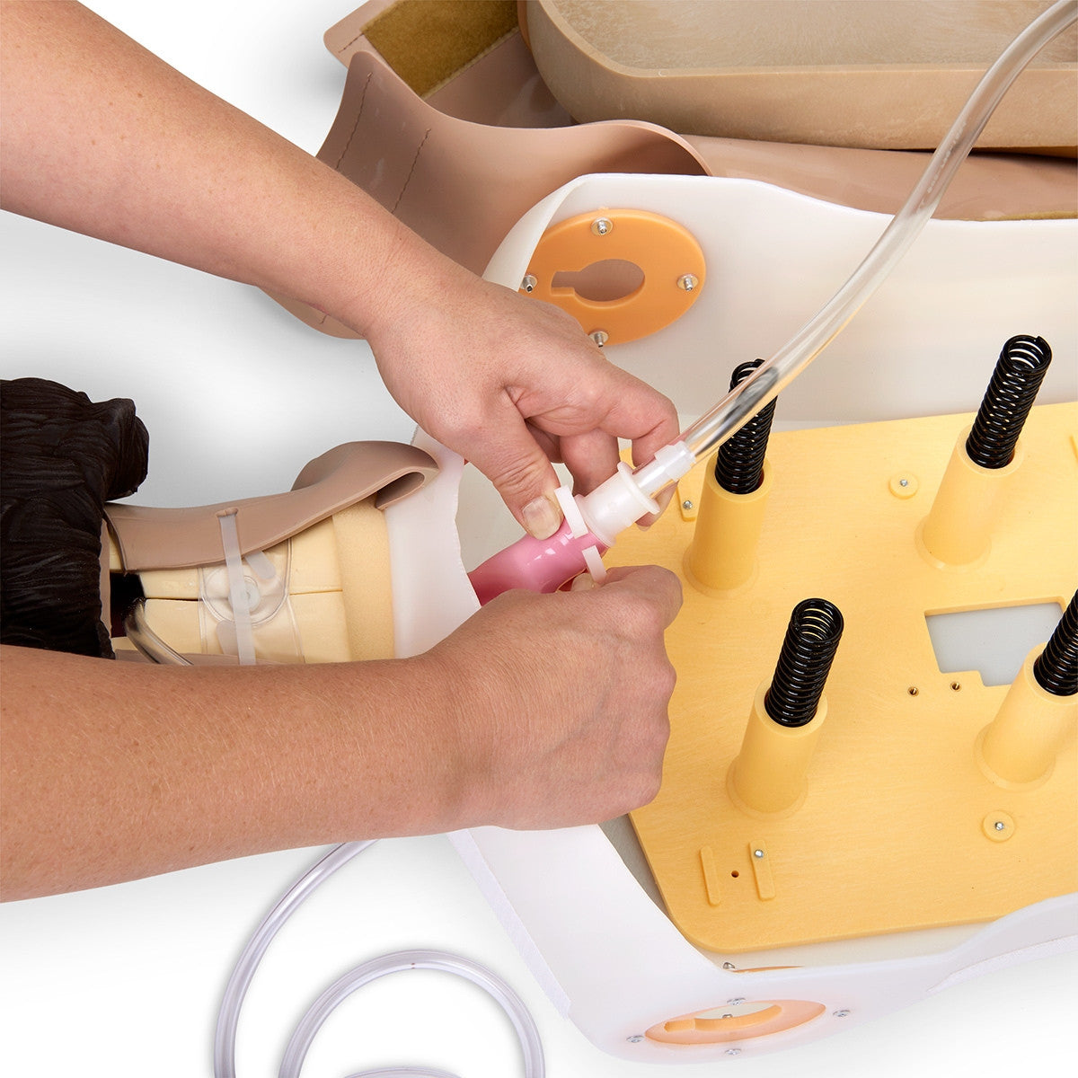Adult Airway Management Training Torso