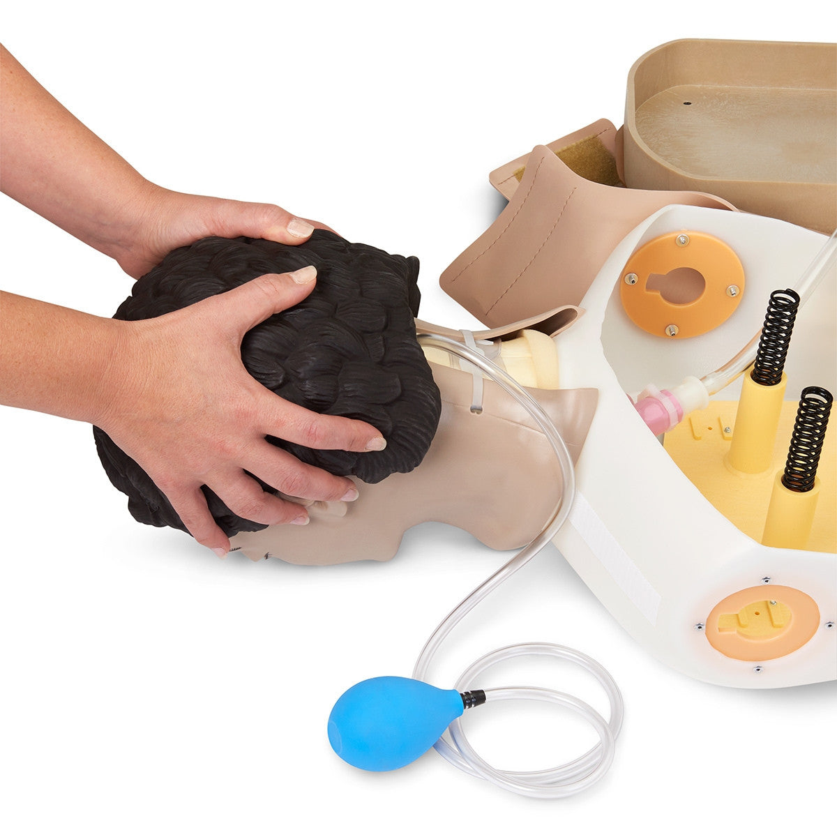 Adult Airway Management Training Torso