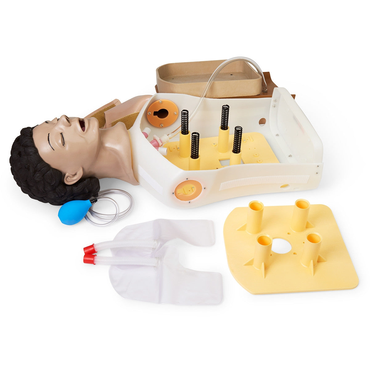 Adult Airway Management Training Torso