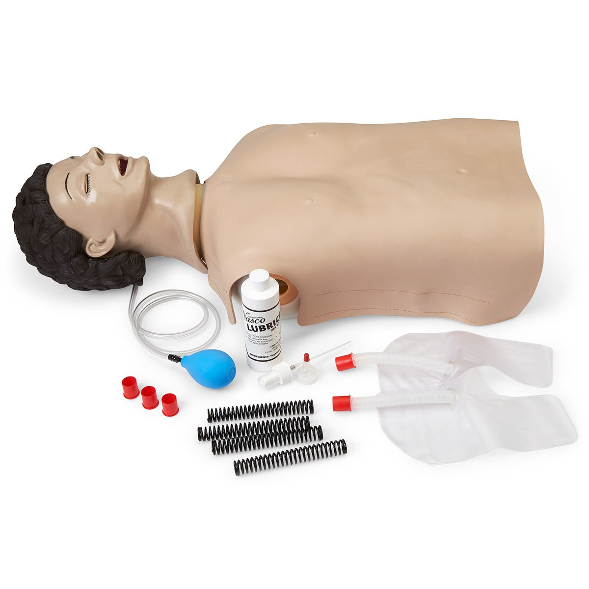 Adult Airway Management Training Torso