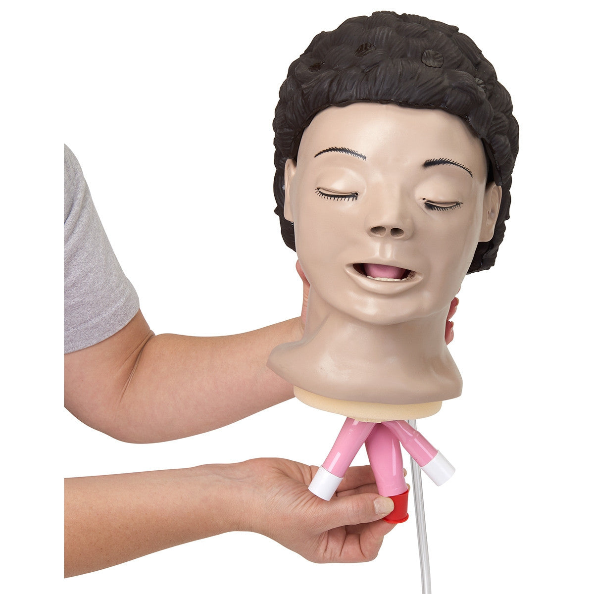 Adult Airway Management Training Torso