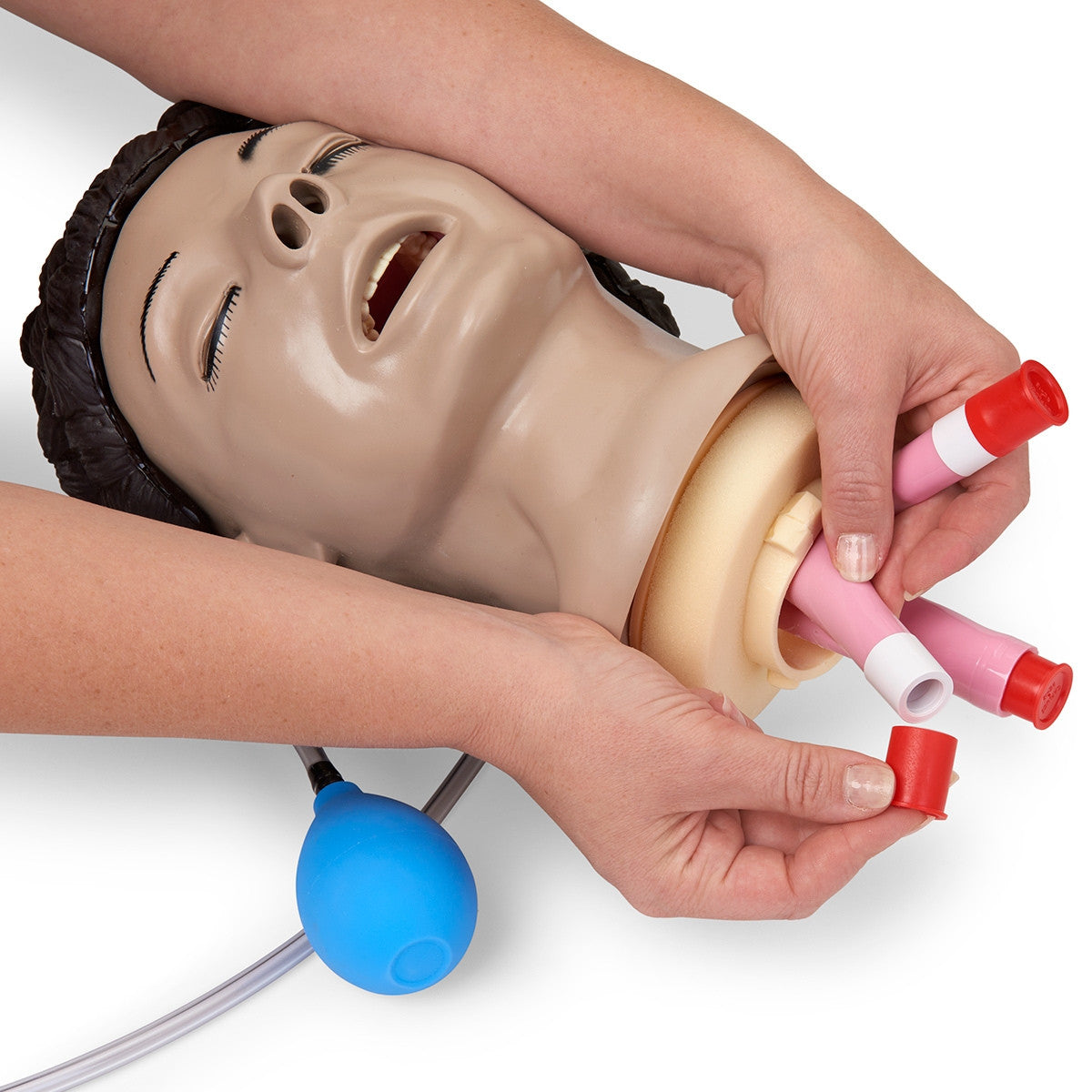 Adult Airway Management Training Torso