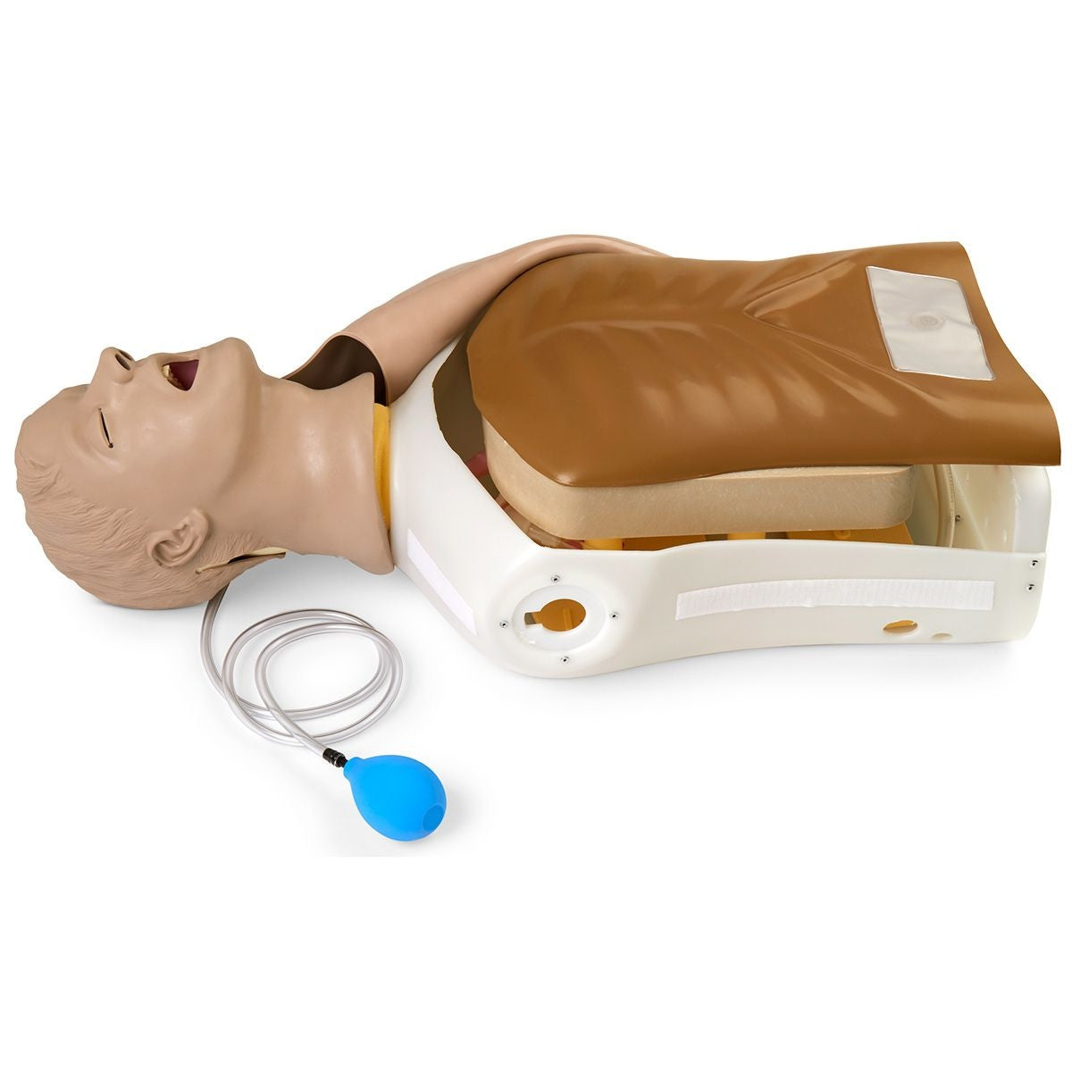 Airway Larry Airway Management Training Torso
