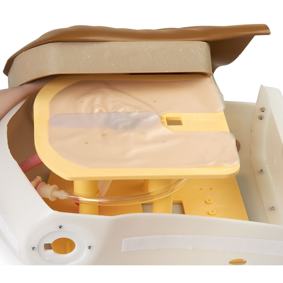 Airway Larry Airway Management Training Torso