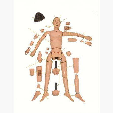 GERi Auscultation Manikins