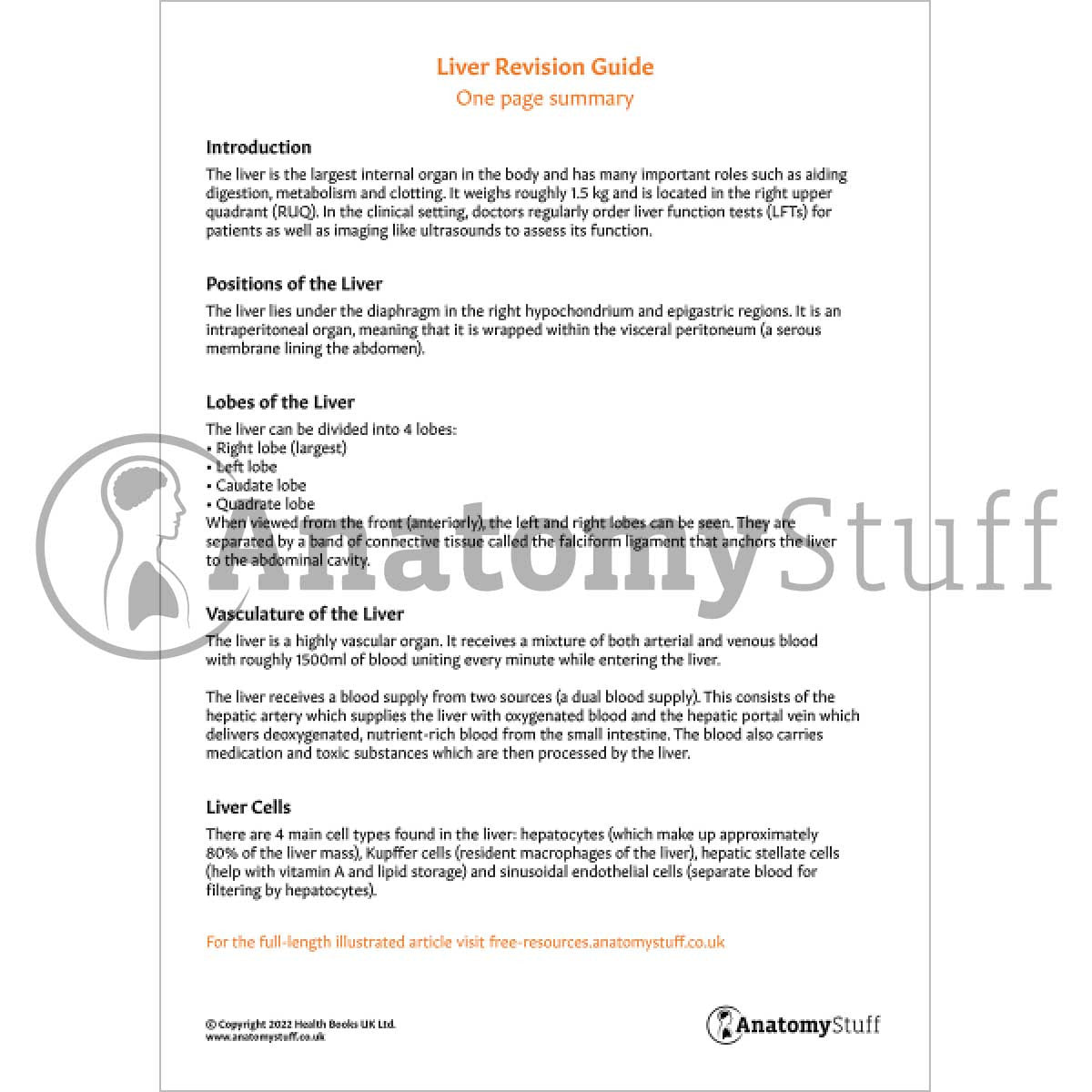 Liver Revision Guide (One Page Summary)