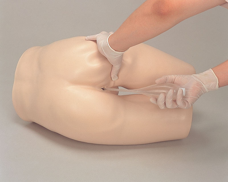 Enema Administration Training Model