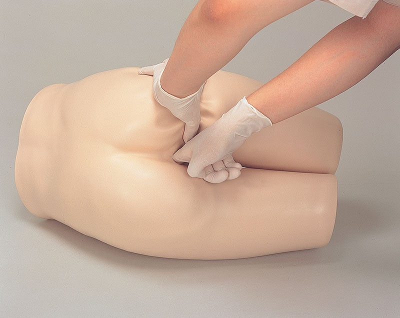 Enema Administration Training Model