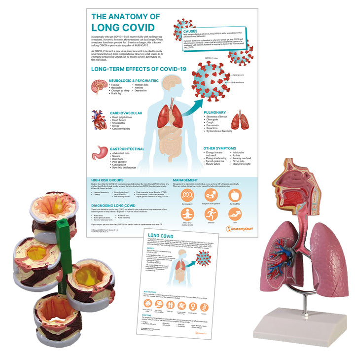 Long COVID Collection