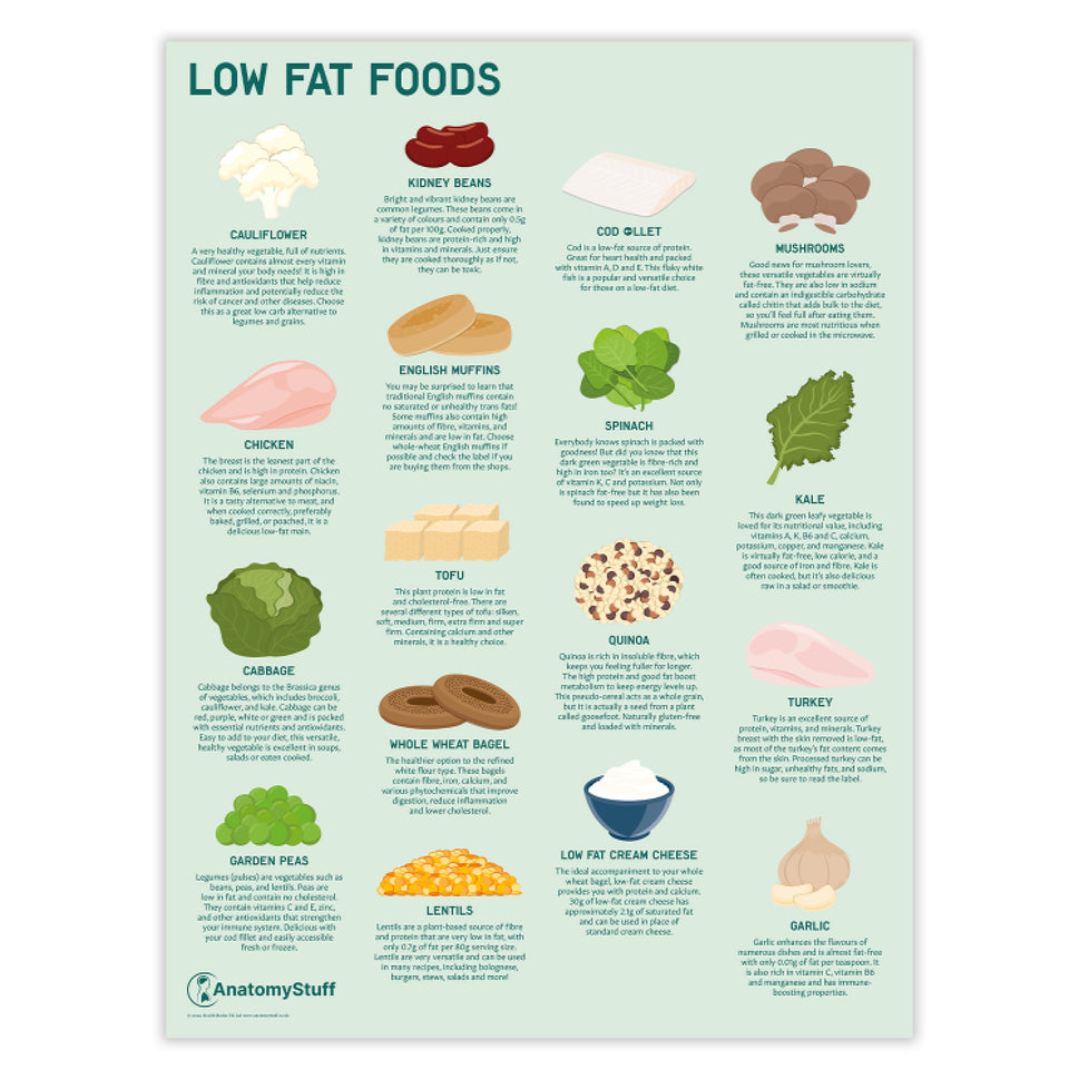 Low Fat Foods Chart / Poster