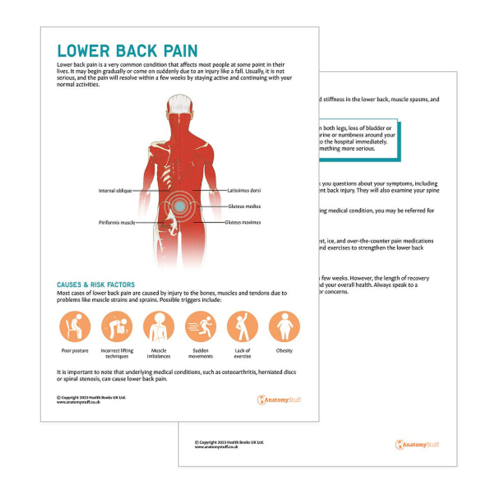 Lower Back Pain Collection