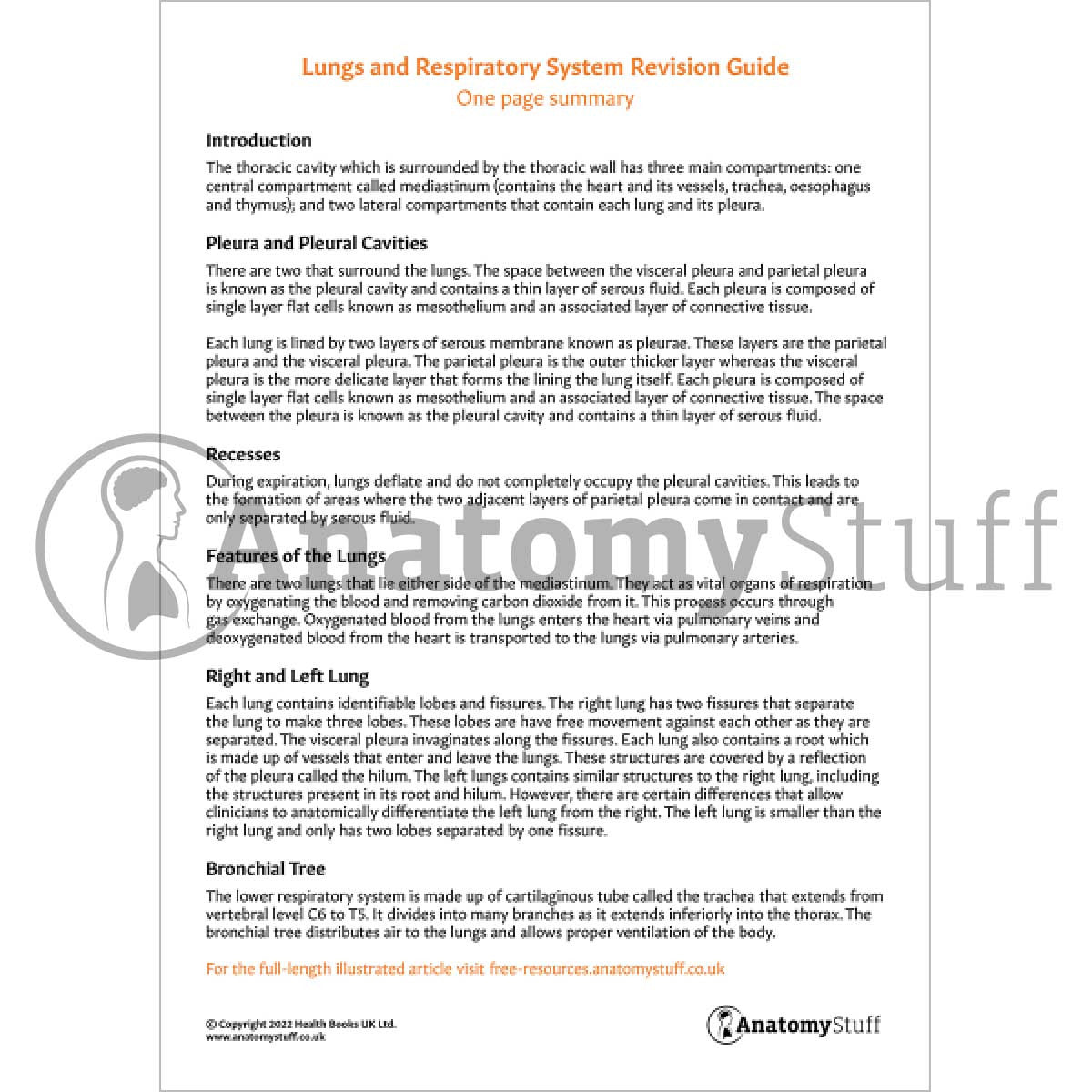 Lungs & Respiratory System Revision Guide (One Page Summary)